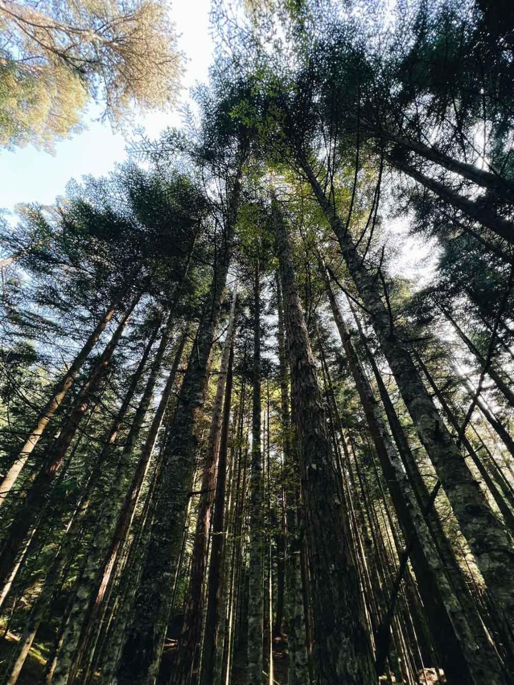 Hotel Ala Glamping Ilica  Zewnętrze zdjęcie